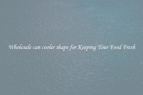 Wholesale can cooler shape for Keeping Your Food Fresh