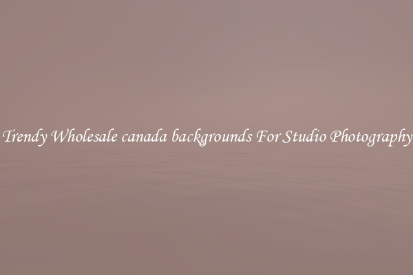 Trendy Wholesale canada backgrounds For Studio Photography
