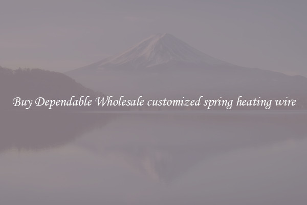 Buy Dependable Wholesale customized spring heating wire