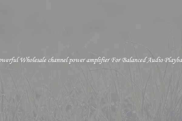 Powerful Wholesale channel power amplifier For Balanced Audio Playback