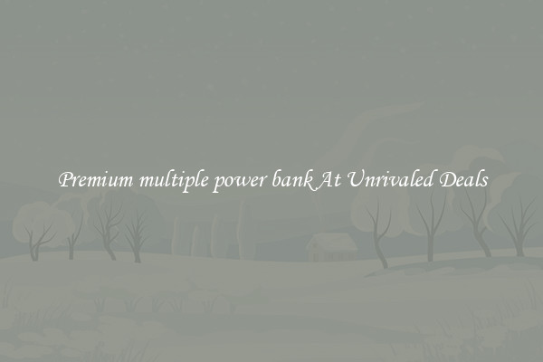 Premium multiple power bank At Unrivaled Deals