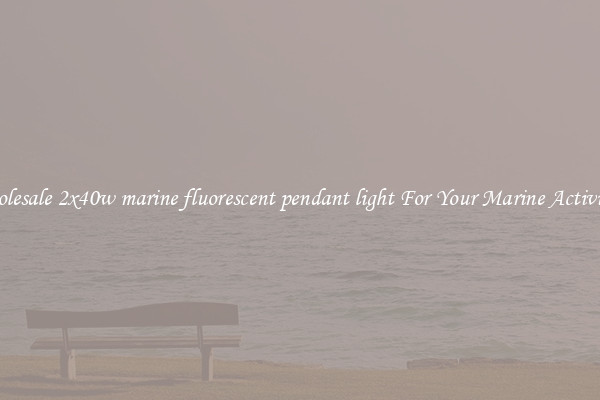 Wholesale 2x40w marine fluorescent pendant light For Your Marine Activities 