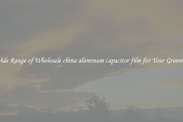 A Wide Range of Wholesale china aluminum capacitor film for Your Greenhouse