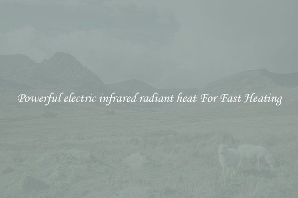 Powerful electric infrared radiant heat For Fast Heating