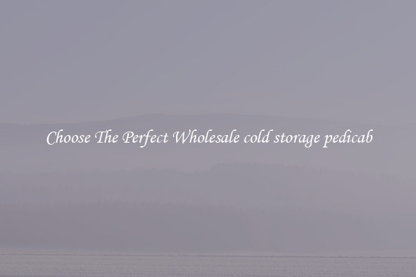 Choose The Perfect Wholesale cold storage pedicab