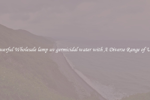 Powerful Wholesale lamp uv germicidal water with A Diverse Range of Uses