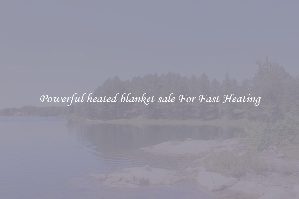 Powerful heated blanket sale For Fast Heating