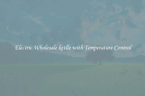 Electric Wholesale ketlle with Temperature Control