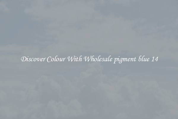 Discover Colour With Wholesale pigment blue 14