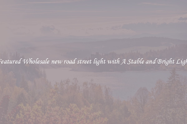 Featured Wholesale new road street light with A Stable and Bright Light