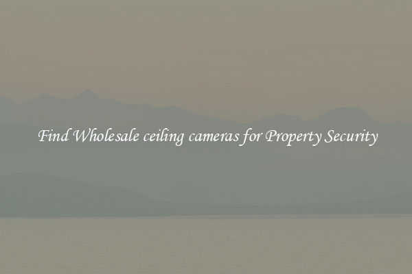 Find Wholesale ceiling cameras for Property Security