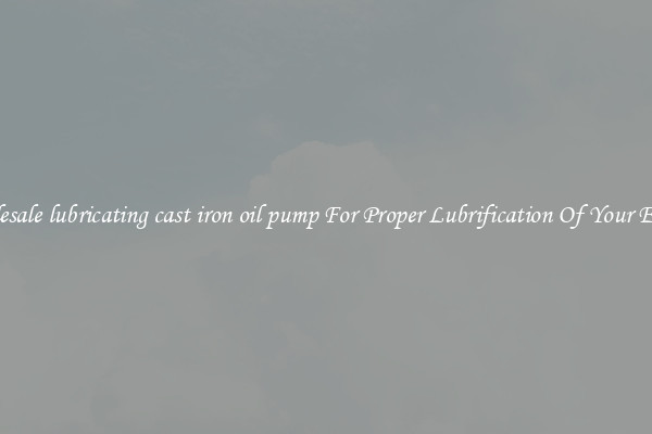 Wholesale lubricating cast iron oil pump For Proper Lubrification Of Your Engine