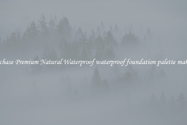 Purchase Premium Natural Waterproof waterproof foundation palette makeup
