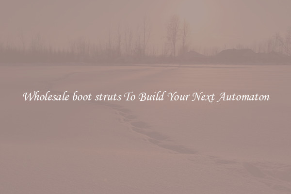 Wholesale boot struts To Build Your Next Automaton
