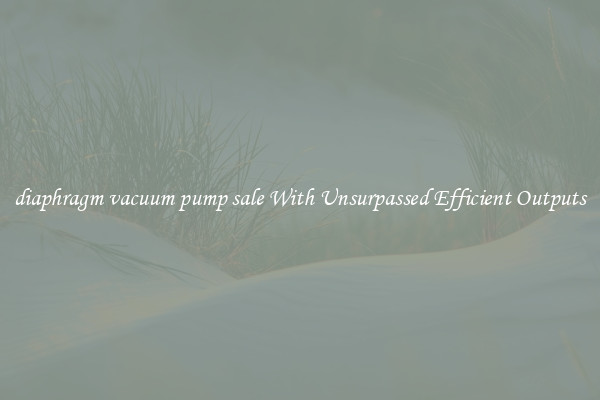 diaphragm vacuum pump sale With Unsurpassed Efficient Outputs