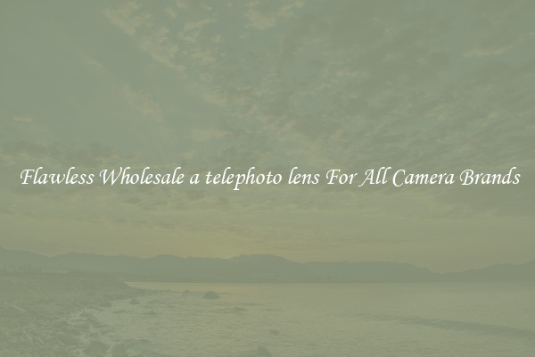 Flawless Wholesale a telephoto lens For All Camera Brands