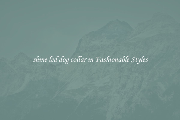 shine led dog collar in Fashionable Styles